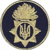 Кокарда Національної Гвардії (полум'я)
