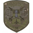 Шеврон 38 навчальний центр НУПС До лідерства через знання