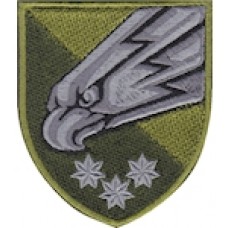 Шеврон 25 повітряно-десантна бригада (орел)
