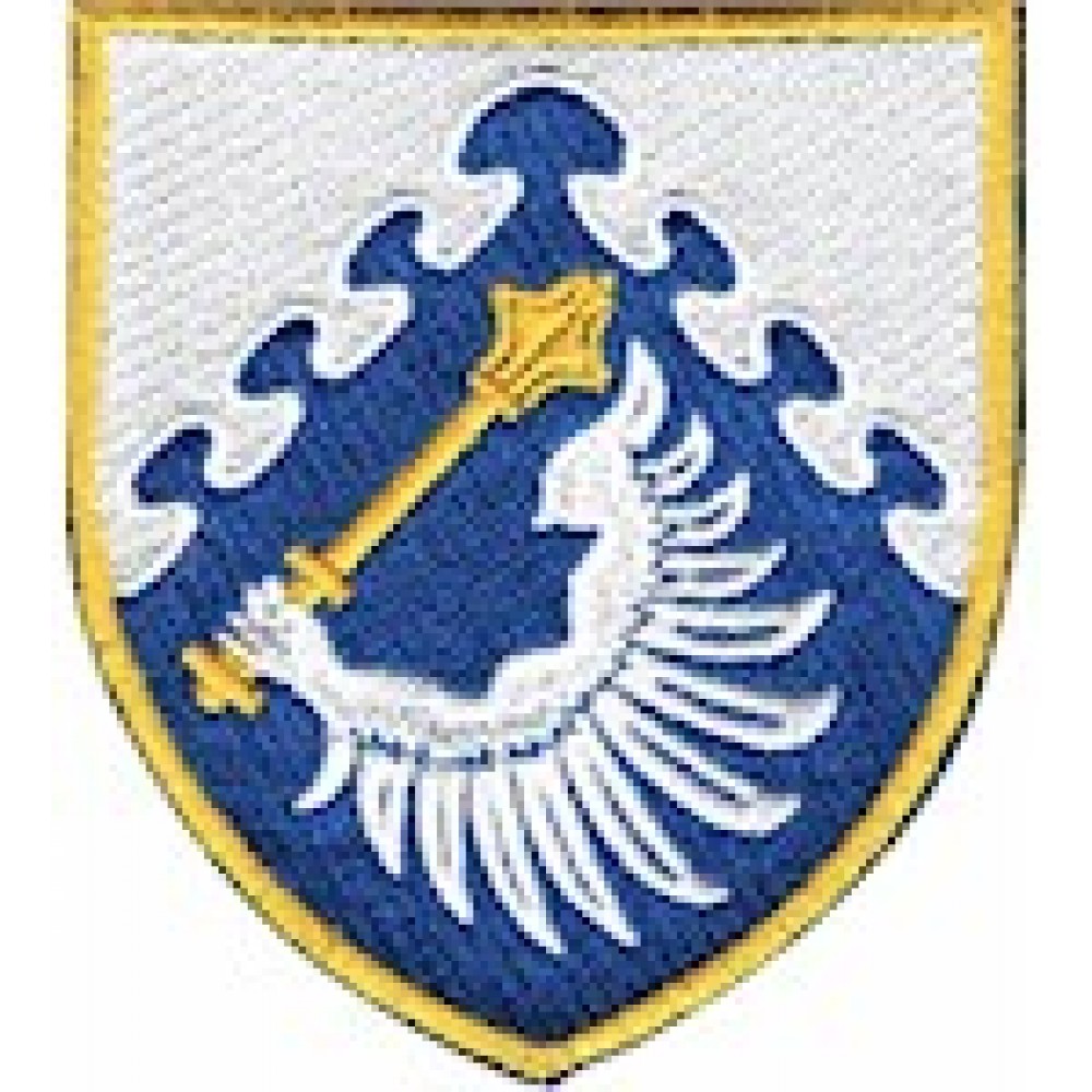 Shevron Povitryane komanduvannya ""Tsentr""  