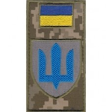 Шеврон-заглушка на липучці Гірська піхота