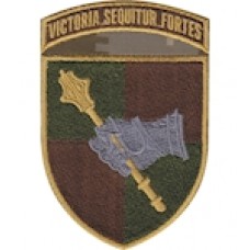 Шеврон Командування сухопутних військ ""VICTORIA SEQUITUR FORTES""