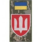 Шеврон-заглушка на липучці Військова служба правопорядку (кольоровий)