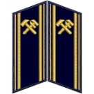 Петлиці зд (старші)