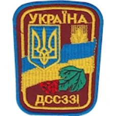 Шеврон ДССЗІ Україна