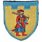 Шеврон 110 окрема бригада ТрО (Запорізька область) (кольоровий)