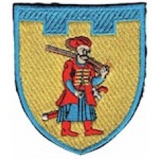 Шеврон 110 окрема бригада ТрО (Запорізька область) (кольоровий)