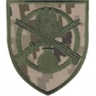 Шеврон 22 ОМПБ
