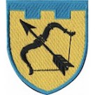 Шеврон 113 окрема бригада ТрО (Харківська область) (кольоровий)