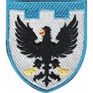 Шеврон 119 окрема бригада ТрО (Чернігівська область) (кольоровий)