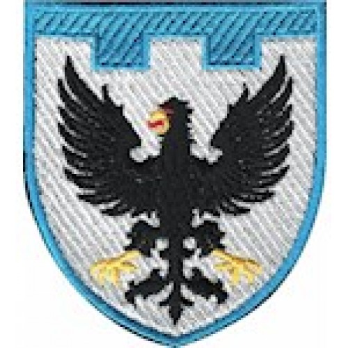 Шеврон 119 окрема бригада ТрО (Чернігівська область) (кольоровий)
