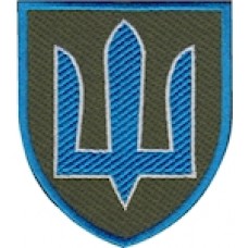 Shevron_Komandovaniye_sukhoputnykh_voysk_zashitoye_pole  