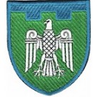Шеврон 107 окрема бригада ТрО (Чернівецька область) (кольоровий)