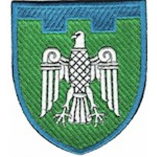 Шеврон 107 окрема бригада ТрО (Чернівецька область) (кольоровий)