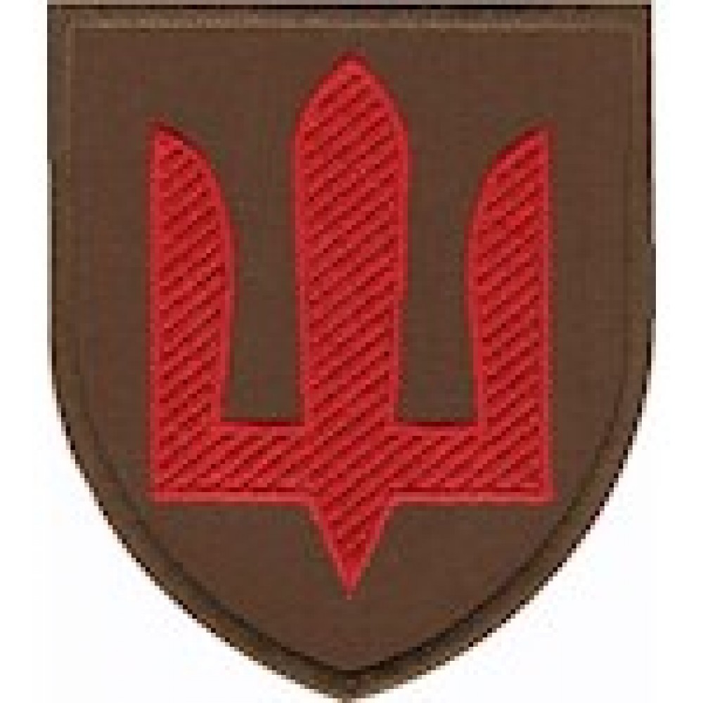 Шеврон ЗСУ Протиповітряна оборона сухопутних військ (тризуб) мультикам/цифра/койот