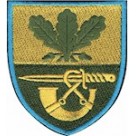 61 окрема піхотна єгерська бригада (олива /кольорова )