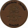  Національної Гвардії (полум'я) койот/мультикам