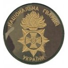  Національної Гвардії (полум'я) койот/мультикам