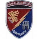 Шеврон 13 батальйон  95 ОДШБр