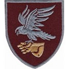 Шеврон 421 окремий батальйон безпілотних систем 