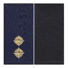 Погон НГУ лейтенант (різні кольори на липучці)