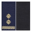 Погон НГУ підполковник (різні кольори на липучці)