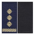 Погон НГУ полковник (різні кольори/на липучці)