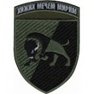 22 ОМБр ( Бик)