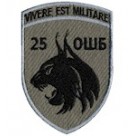 25 ОШБ