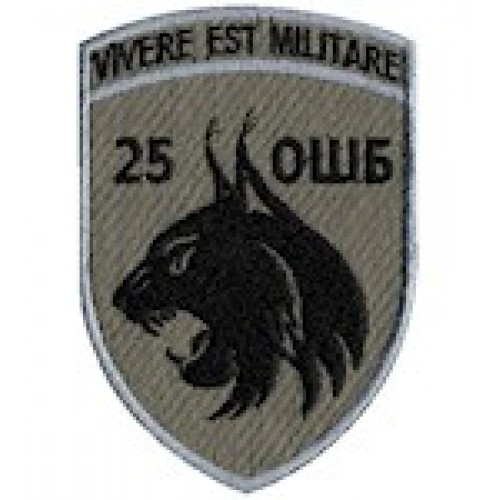 25 ОШБ