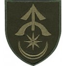 31 ОМБр (олива /кольоровий )