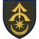 31 ОМБр (олива /кольоровий )