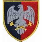 31 ОРВП (олива /кольоровий )