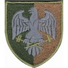 31 ОРВП (олива /кольоровий )