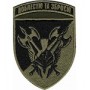 42 ОМБр (олива /кольоровий )