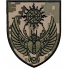 43 ОМБр  Жук  (олива /цифра )