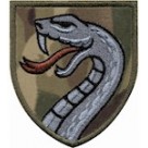 61 ОМБр  (олива /цифра /мультікам )