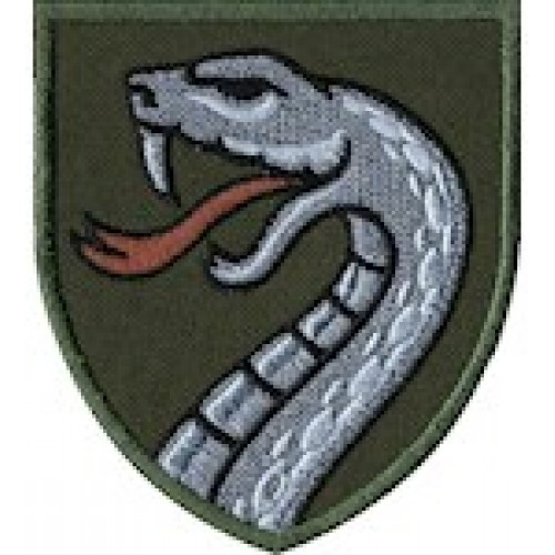 61 ОМБр  (олива /цифра /мультікам )