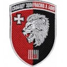 63 ОМБр  (олива /кольоровий )