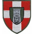 100 ОМБр (олива /кольровий /