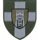 100 ОМБр (олива /кольровий /