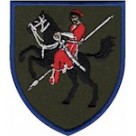 110 ОМБр (олива /кольоровий )