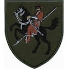 110 ОМБр (олива /кольоровий )