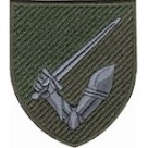 117 ОМБр (олива /кольоровий )
