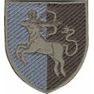 141 окрема стрілецька бригада ( олива /кольоровий)