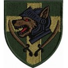 144 ОМБр  (кольоровий/олива)