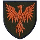 146 ОРВП (чорний/олива)