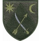 151 ОМБр  (олива/кольоровий)