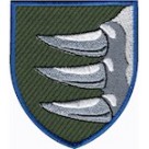 156 ОМБр  (олива/кольоровий/цифра)