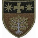 в/ч А4823 (кольоровий/олива)